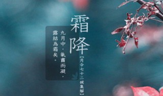 霜降节气介绍（霜降节气介绍视频）