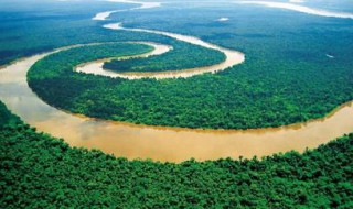 世界三大热带雨林区名称 世界三大热带雨林区名称英文