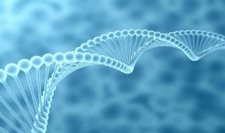 为什么质粒可以作为遗传工程的载体 质粒在遗传工程中有什么作用
