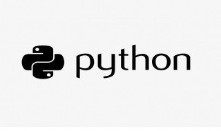 Python3.0正式发布的年份是（python3哪一年发布）