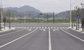 红绿灯路口停在对向车道怎么办 红绿灯路口停在对向车道怎么办罚款