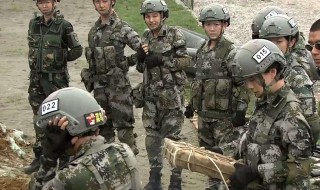 特种兵之火凤凰演员表（特种兵之火凤凰演员表全部 女演员）