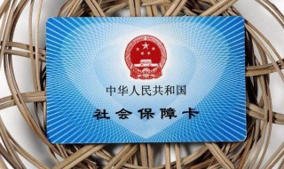 个人社保电脑号怎么查询（个人社保电脑号怎么查询深圳）