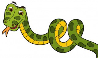 响尾蛇可以利用什么感应附近的动物 认识动物响尾蛇