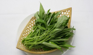 空心菜有哪些作用 空心菜有哪些作用与功效