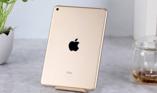 ipadmini4拍照怎么样（ipadmini4照片）