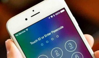 苹果11确认iphone密码无法链接服务器（苹果11确认密码连接服务器出现问题）