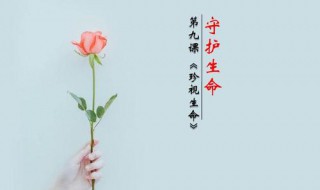 如何守护生命（如何守护生命 政治七年级上册）