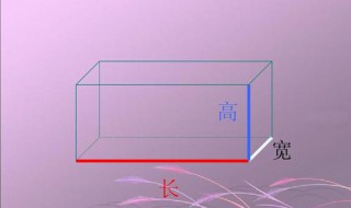 长方体有4组长宽高对吗 长方体有4组长宽高对不对