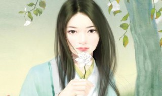 林锦轩秦苒是什么小说（秦苒林锦轩免费阅读）
