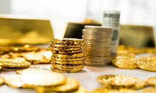 万能险的初始费用是什么意思 万能保险的初始费用是什么