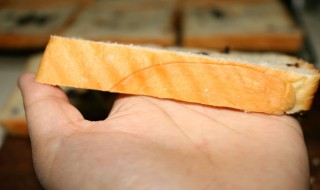面包酵母标准使用量（面包酵母标准使用量是多少）