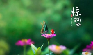 惊蛰以后野钓鲫鱼什么到方好 惊蛰时节阴雨天气钓鲫技巧