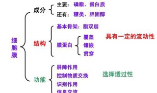 怎么区别选择透过性和流动性 如何区分