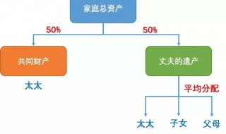 遗产继承分配比例（遗产继承分配比例案例）