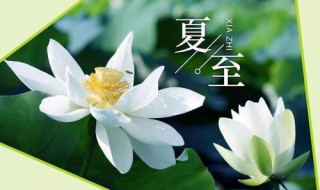 夏至节气的含义是什么（夏至节气的含义是什么二十四节气）