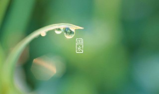 雨水节气的忌讳（雨水节气的忌讳是什么）