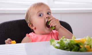 虾怎么给宝宝做辅食 虾肉宝宝辅食怎么做