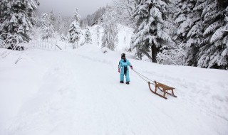 看雪发朋友圈唯美短句（看雪发朋友圈唯美短句子）