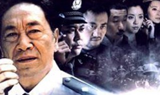 本色剧情介绍 中国刑警803英雄本色剧情介绍