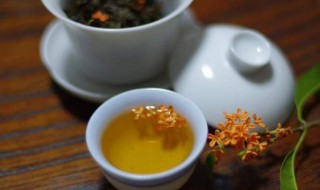 桂花茶的功效与作用及泡法 桂花茶的功效与作用及泡法视频