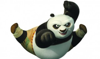 功夫熊猫里的熊猫叫什么名字（功夫熊猫里的熊猫叫什么名字来着）