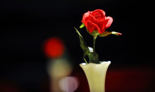 鲜花节是哪个民族的（鲜花节是什么族过的）
