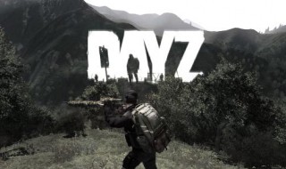 dayz怎么回复健康值（dayz健康）