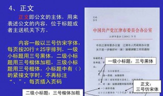 文稿的格式（打印文稿的格式）
