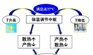 举例说明控制中的反馈措施 举例说明控制中的反馈措施有