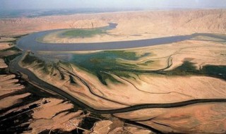河套平原湿地的类型 河套平原植被类型