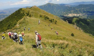 梦见爬山（梦见爬山很陡峭很艰难）