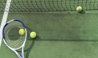 根据打法不同网球选手有哪些类型 根据打法不同网球选手有哪些类型的