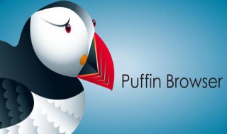 puffin怎么玩网页游戏 puffin浏览器可以玩flash游戏吗