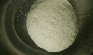 韭菜盒子怎么和面用放酵母吗 做韭菜盒子的面需要加酵母吗
