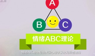 ABC理论中可以用来调整信念的是 abc理论认为当观念或者信念出现
