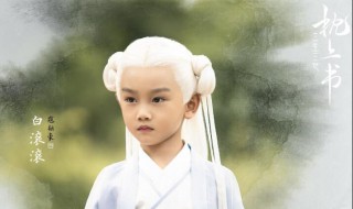 白滚滚什么时候怀上的 在阿兰若之梦中怀上的
