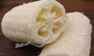丝瓜络的功效与作用吃法 丝瓜络功效与作用功效