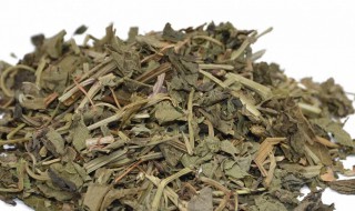 中药天仙藤的功效与作用（中药天仙藤的功效与作用及食用方法）