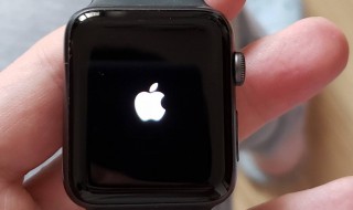 苹果手表忘记密码怎么办 苹果手表忘记密码怎么办?