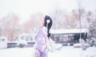 满宫花雪霏霏原文翻译（花时如紫云垂地,香气袭衣翻译）