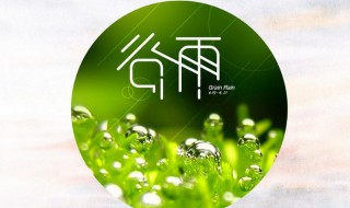 谷雨适合吃什么菜（谷雨吃什么荤菜）