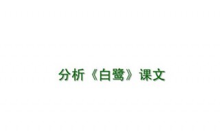 白鹭的文章中心是什么（白鹭是什么文章?）