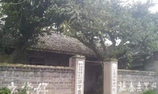 旧照片怎么变成新照片（旧照片怎么变成新照片教程）