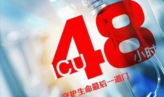 icu48小时小说大结局 icu48小时小说简介