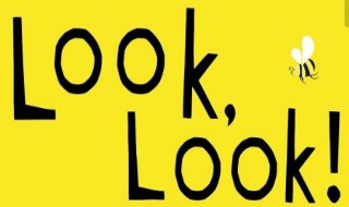 look和look look和look like的区别