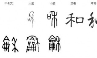 加油用甲骨文怎么写 最早的体系文字