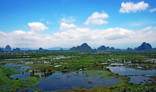 沼泽地被称为地球什么 什么叫做沼泽地