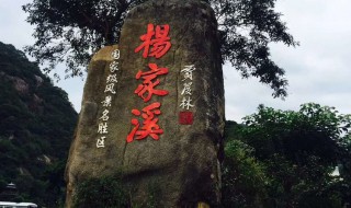 杨家溪玻璃栈道多长（杨家溪玻璃栈道多长多宽）