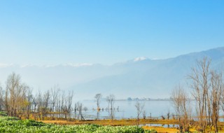 发展湿地生态游的意义 湿地旅游开发的意义